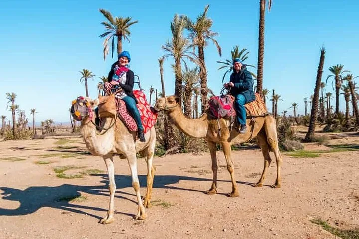 Quad-sykling og kamelritt i Marrakechs Palmeraie photo 2