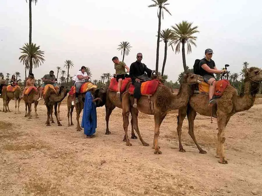 Quad-sykling og kamelritt i Marrakechs Palmeraie photo 3