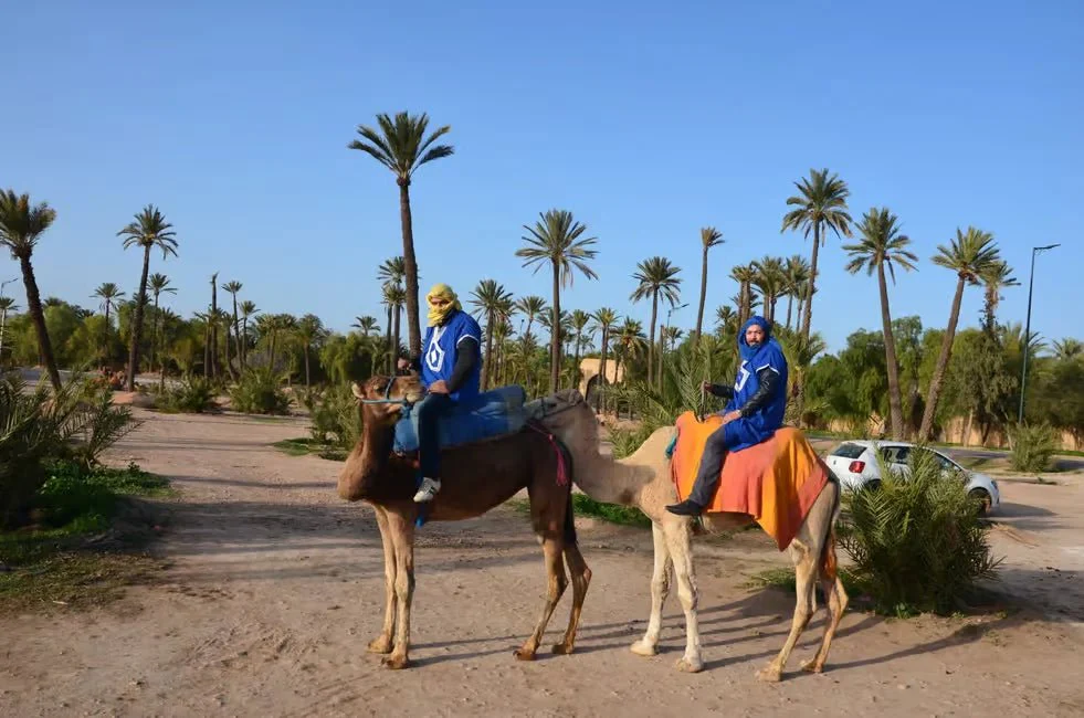 Quad-sykling og kamelritt i Marrakechs Palmeraie photo 5