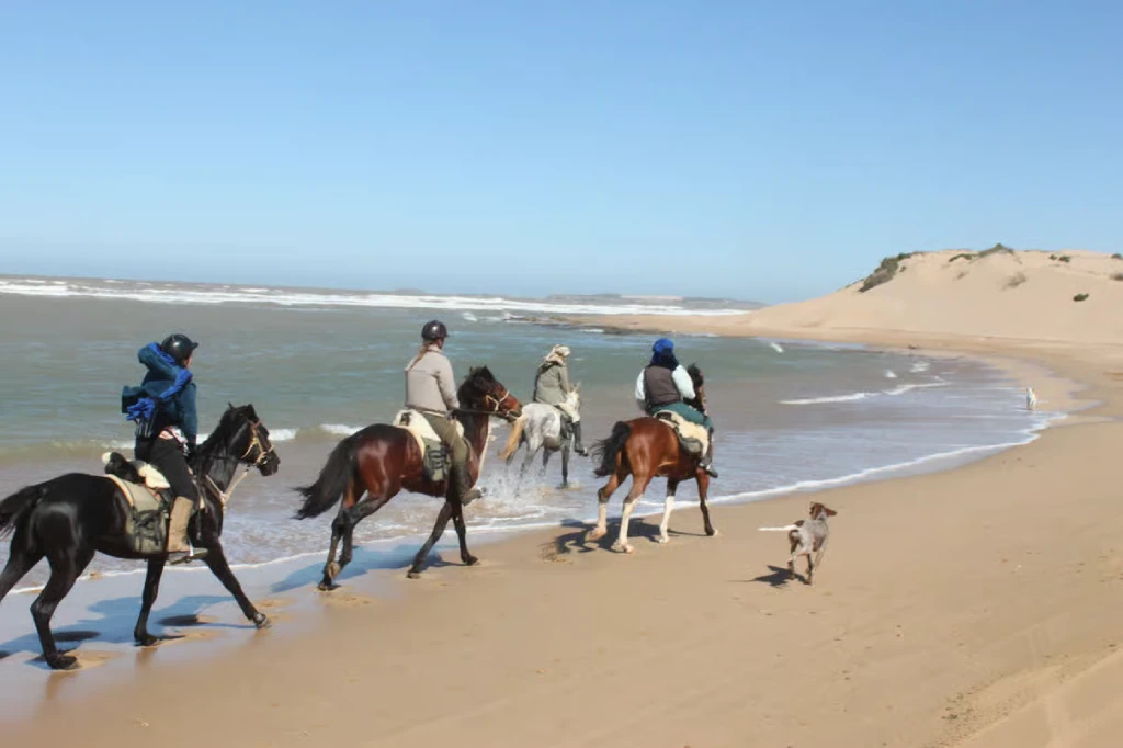 Ridetur på Essaouiras Atlanterhavsstrand